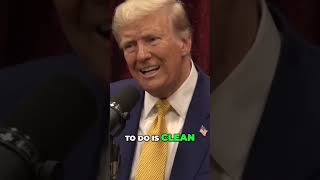 RAKE the FOREST  Joe Rogan with Donald Trump [upl. by Bittencourt464]