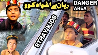 Stray Kids Reyan Ya Aghwa Ko Pashto New Video 2024 Tuti Gull Video 2024 by Mehnate Vines [upl. by Lydell]