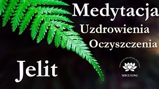 Medytacja Uzdrowienie i Oczyszczenie JELIT [upl. by Janene]