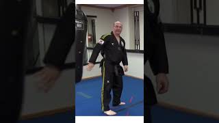 DogLeg Backside kick MasterBrentMessmer taekwondomartialarts martialarts karate [upl. by Snodgrass413]