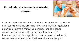 Il Corpo cellulare del Neurone e il ruolo del Nucleo [upl. by Hammond]