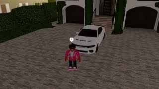 2nd Trip to Southwest Florida  Roblox [upl. by Auohp]