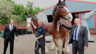 Creating the Kelpies 2015 UK Documentary Full HD [upl. by Ligetti]