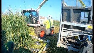 Maishäckseln 2023 Teil 3 Cabview im Deutz 6190 TTV LU Krumm mit Claas Jaguar 9504K [upl. by Iruam]