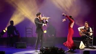 Dança Espanhola  El Vito Violino Paco Montalvo Dança com Castanholas Dança Flamenca [upl. by Shanahan138]