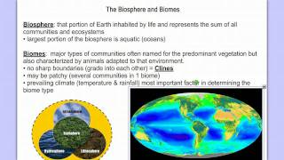 Introduction to Ecology Part 1 [upl. by Oralia]