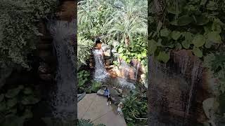 Gaylord Opryland Resort and Convention Center Nashville Tennessee [upl. by Eshelman]