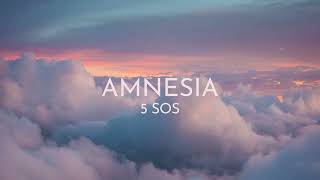 Amnesia by 5 Seconds of Summer Lyrics with Guitar Chords [upl. by Mighell552]