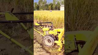 Krishan Kraft Dhan Kata Machthin 😍 shortfeed viralshorts shortvideo farming krishankraft [upl. by Faso]