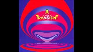 A Taste Of Transient FULL ALBUM [upl. by Aneej]