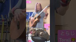 2024年9月8日 ギター練習ガットギター Guitar Practice  Classical Guitar Spanish Romance ♩95 [upl. by Ratna]