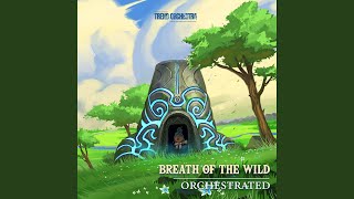 Revalis Theme from quotThe Legend of Zelda Breath of The Wildquot [upl. by Hibbs]