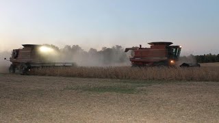 Soybean Harvest 2024 is Complete [upl. by Leber]