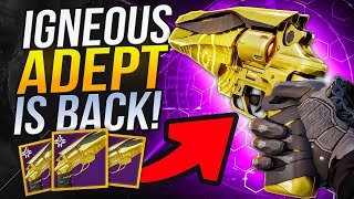 Igneous Hammer Adept is HERE is Better than ever  New perks [upl. by Aibara]