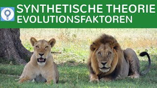 Synthetische Evolutionstheorie  Evolutionsfaktoren  Evolution 9 [upl. by Merle]