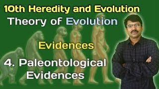 10th Science Heredity and Evolution  Theory of Evolution  Paleontological Evidences [upl. by Nerot]