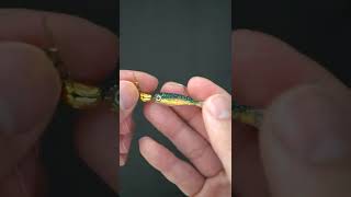 Micro Luck E Strike Scrounger Jig Overview  Fishing Lure shorts [upl. by Ennaed]