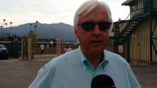 American Pharoah Workout at Santa Anita 101415 [upl. by Aicercal]