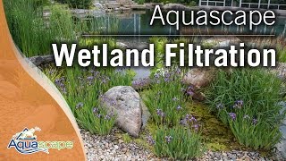 Wetland Filtration [upl. by Llertram]