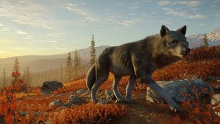 🔴On the hunt in the valley of the wolves the Hunter Call of the Wild™ [upl. by Airtened]