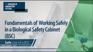 Fundamentals of Working Safely in a Biological Safety Cabinet BSC Safe Use of a BSC [upl. by Hanahsuar860]