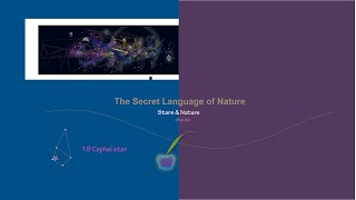 19 Cephei star The secret language of nature 82 [upl. by Ahsinnek]