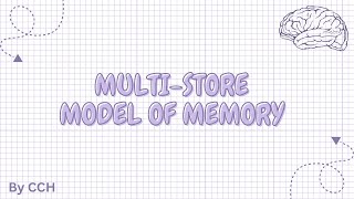 AQA ALEVEL PSYCHOLOGY  Memory The Multi Store Model of Memory [upl. by Enylorac702]