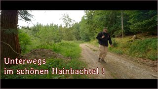 Unterwegs im schönen Hainbachtal   Ambient Hiking  4K [upl. by Arten]