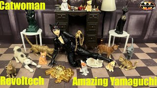 Amazing Yamaguchi Catwoman Revoltech Batman Arkham Knight Anime Action Figure Review amp Comparison [upl. by Issej429]