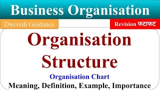 Organisation Structure organisation structure meaning Organizational Structure Organisation Chart [upl. by Violette629]