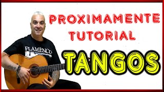 FALSETA TANGOS FACILITA PERO EFECTIVA PRÓXIMO TUTORIAL UNIVERSO FLAMENCO GUITARRA FLAMENCA [upl. by Dobb252]