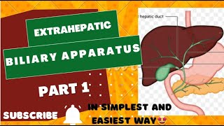 Extrahepatic biliary apparatus  in simplest wayayeshamedicaleducation [upl. by Wooldridge]