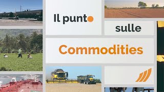 Il punto sulle commodities 14 ottobre 2024 [upl. by Brocky]