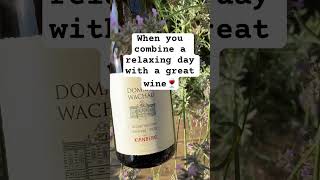 How Great Could It Be A Relaxing Time and A Great Wine VinoVistara Wines Enjoy EnjoyLife [upl. by Annod]