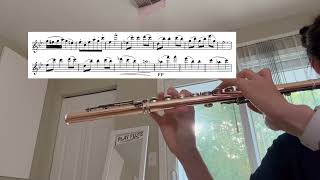 93024 practice log Demersseman 50 Etudes Melodiques no 3 [upl. by Ayinat]