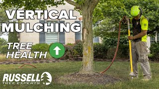 Vertical Mulching to Improve Tree Health [upl. by Frederica]