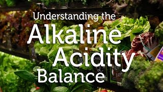 How to Detox and Fight Disease using Alkaline Foods amp pH Balance Diet  Wellness [upl. by Akinak884]