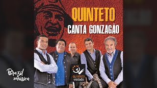 Quinteto Violado  Quinteto Canta Gonzagão  Álbum Completo [upl. by Ema371]