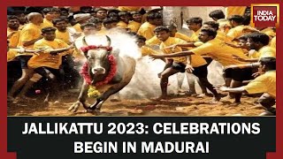 Jallikattu 2023 Jallikattu Begins In Tamil Nadus Madurai 800 Players Likely To Participate [upl. by Matthias]