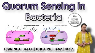 QUORUM SENSING IN BACTERIA FULL PATHWAY  MSc Classes  Cell Signaling  CSIR NET  GATE [upl. by Eolanda586]