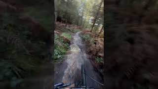 Epic MTB Trail Bracknell 🇬🇧 cycling race [upl. by Essinger]