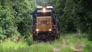 CSX local freight on overgrown branch line  Framingham MA  8122024 [upl. by Frentz]