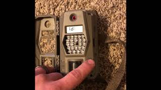 Tasco 6mp Trail Camera Setup [upl. by Tnomed]