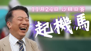 過關第三關【尾場】WP起機馬｜11月24日 沙田日賽 [upl. by Moria]