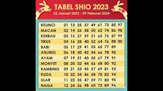 TABEL SHIO 2023 [upl. by Neelhtac]