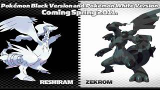 Pokemon BlackWhite OST  Gate Extended [upl. by Cordey]