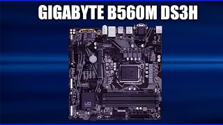 Материнская плата Gigabyte B560M DS3H [upl. by Haleemak]