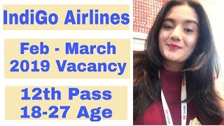 Indigo Airlines Feb March 2019 Job Vacancies  Indian Airlines recruiting Cabin Crew 2019 [upl. by Anipsed]