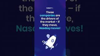 Did you know that just 7 companies drive more than half of the Nasdaq100 [upl. by Kcor]