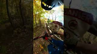 Steep tech ✅ downhillmountainbiking mountainbike downhill [upl. by Dalia]